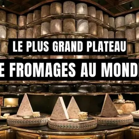 Grand Centre Historique דירה נרבון